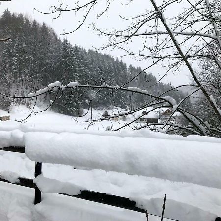 Altmünster Landhaus Haselmoarヴィラ エクステリア 写真