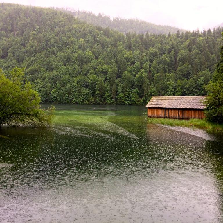 Altmünster Landhaus Haselmoarヴィラ エクステリア 写真